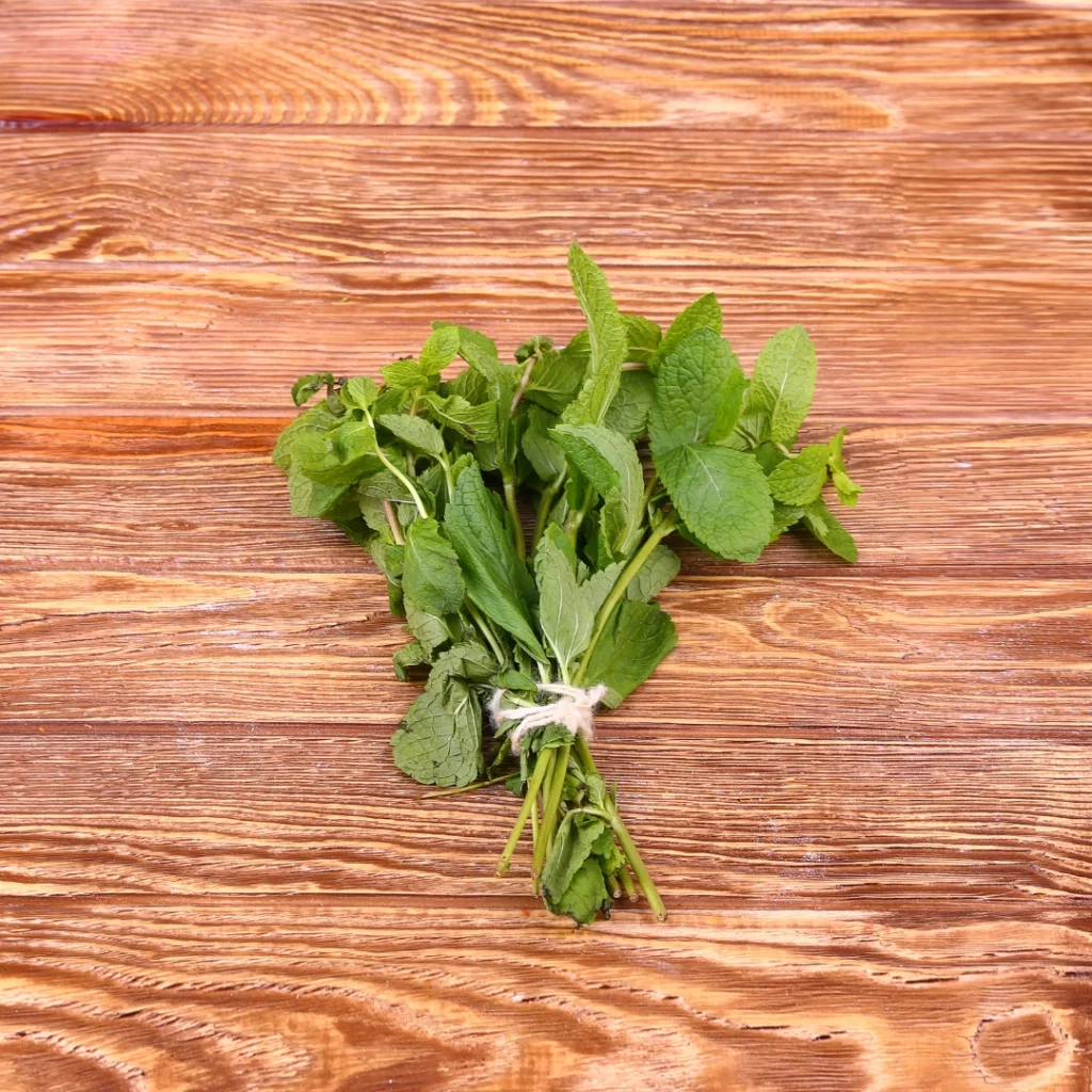 récolte de menthe