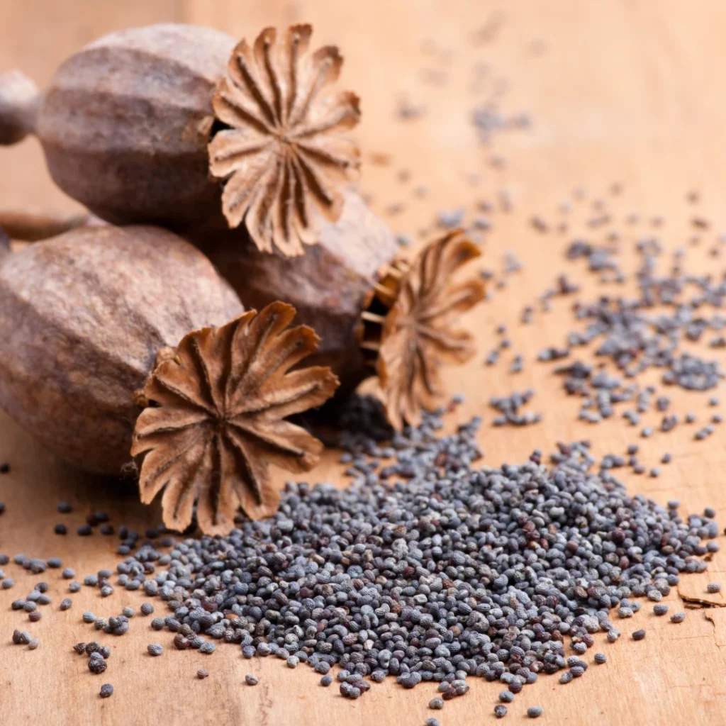 utiliser les graines de pavot pour la cuisine
