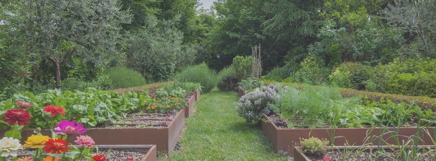 blog-pour-les-passionnés-du-jardin blog pour les passionnnés de jardinage