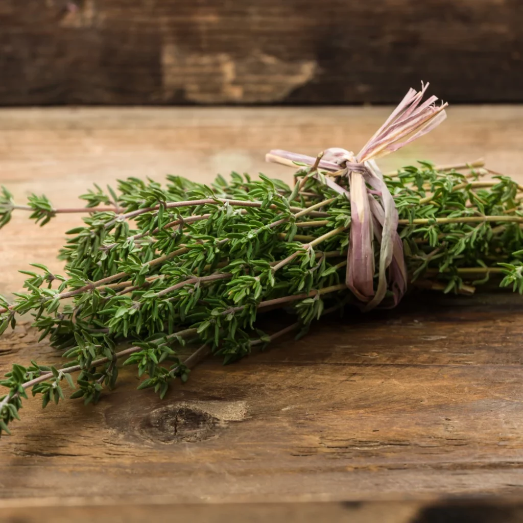 Récolter du thym pour agrémenter vos plats