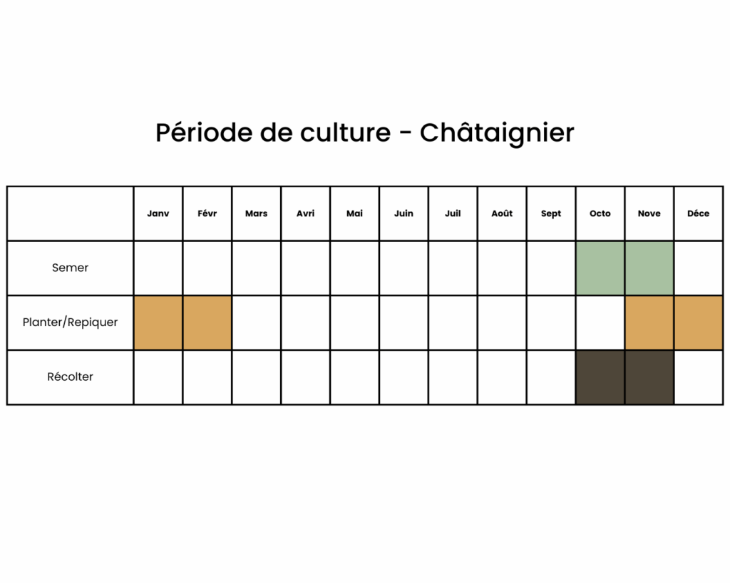 calendrier pour planter et récolter un chataignier