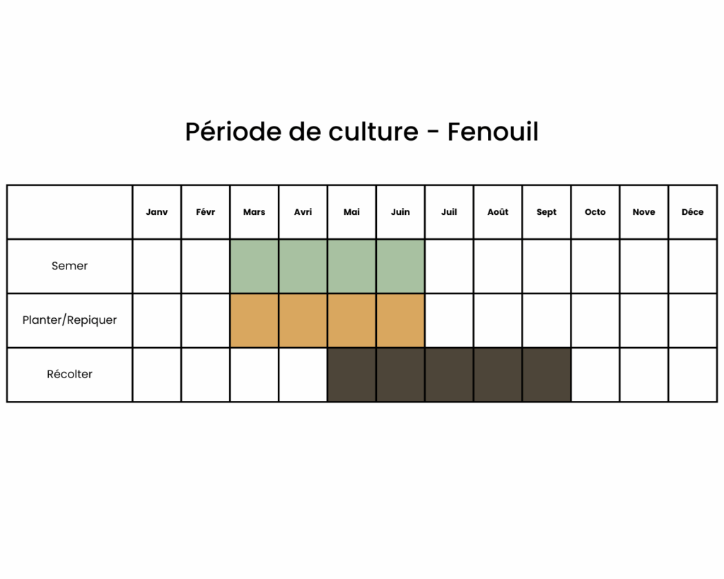 calendrier pour cultiver du fenouil