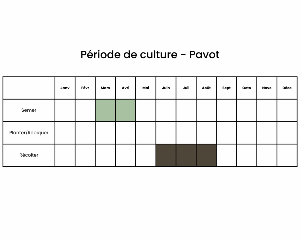 Période de culture du pavot